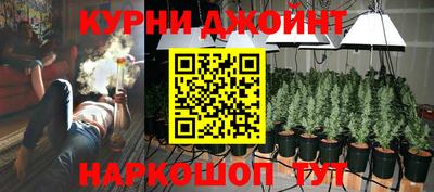 прущие грибы Краснознаменск